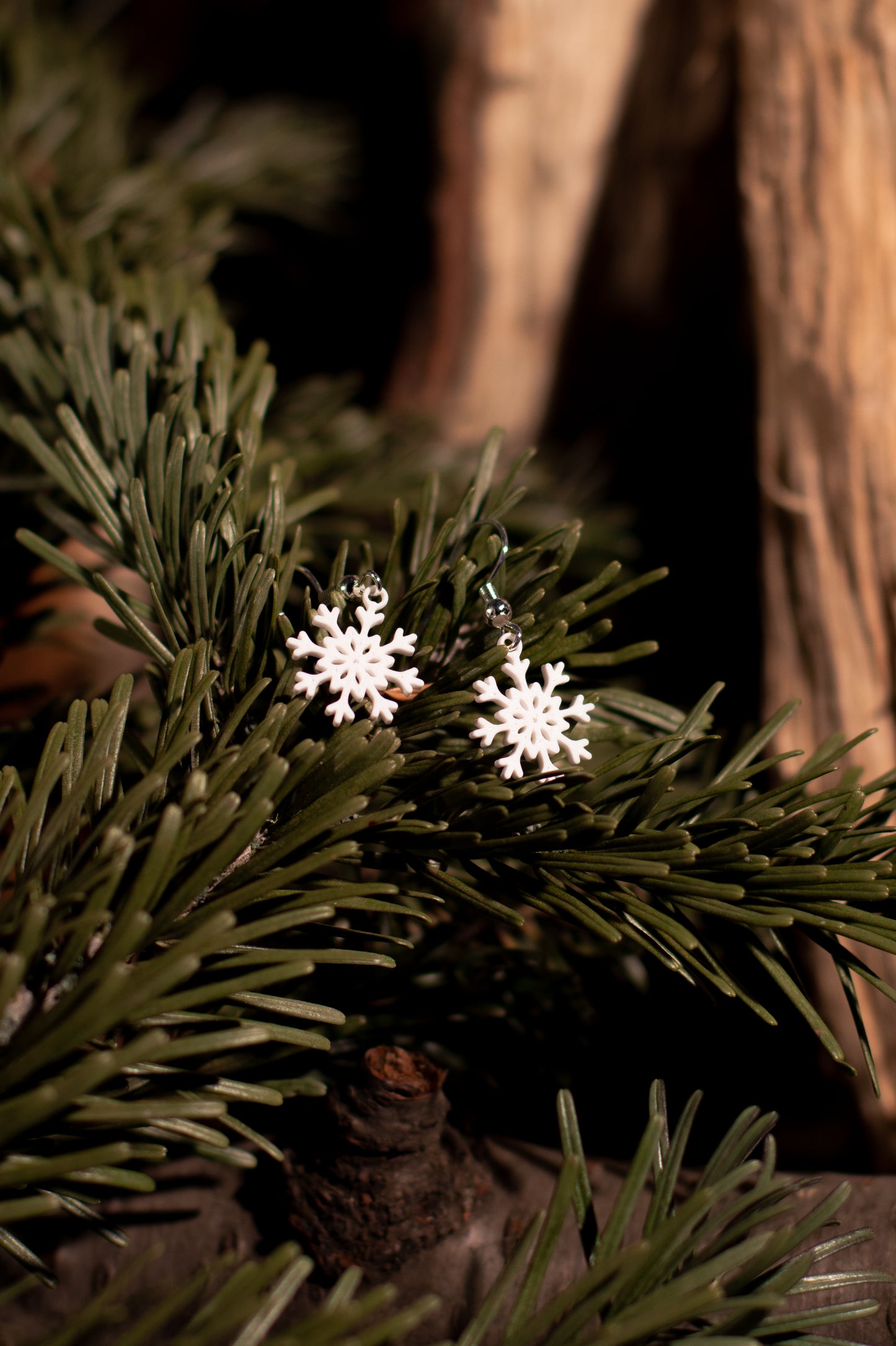 Frosted Elegance Ohrringe